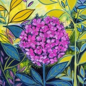 Pink Hydrangea