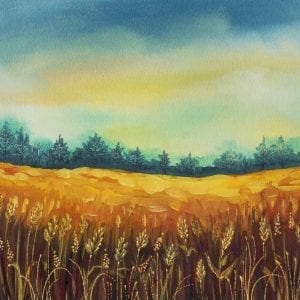 Field of Gold