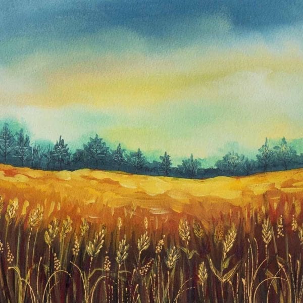 Field of Gold