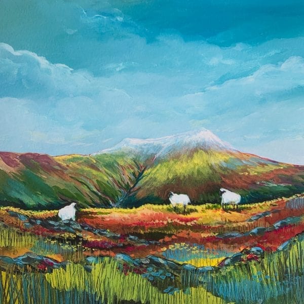 Sheep on the Galtees